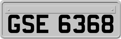 GSE6368
