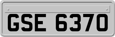 GSE6370