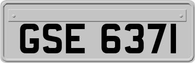 GSE6371