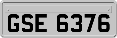 GSE6376