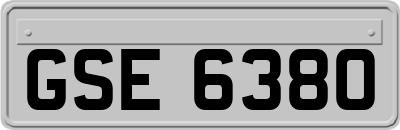 GSE6380