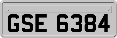 GSE6384