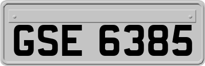 GSE6385