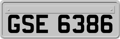 GSE6386