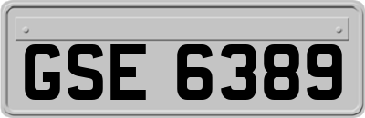 GSE6389