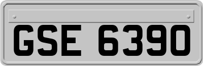 GSE6390