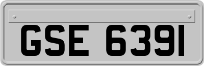 GSE6391