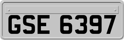 GSE6397