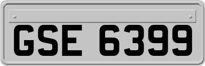 GSE6399