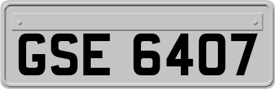 GSE6407