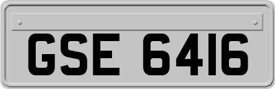 GSE6416