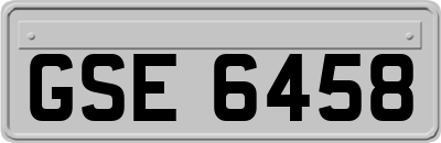 GSE6458