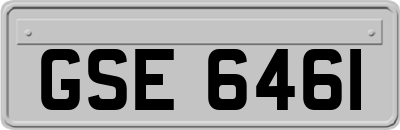 GSE6461
