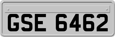 GSE6462