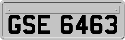 GSE6463
