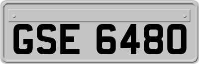 GSE6480
