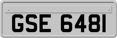 GSE6481
