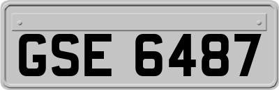 GSE6487