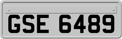 GSE6489