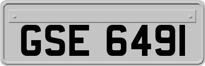 GSE6491