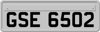 GSE6502