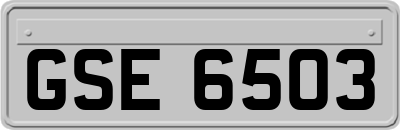 GSE6503