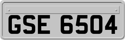 GSE6504