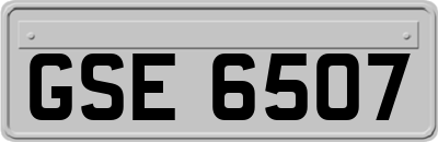 GSE6507