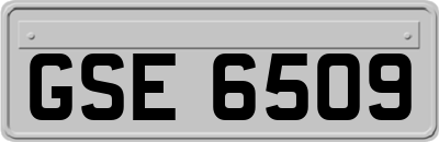 GSE6509