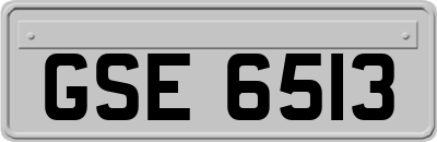 GSE6513