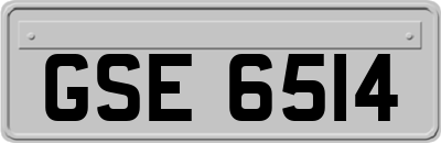 GSE6514
