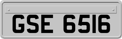 GSE6516