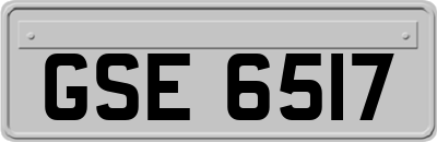 GSE6517