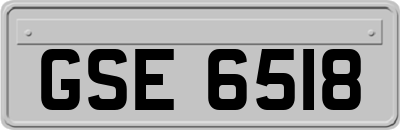 GSE6518