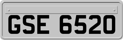 GSE6520