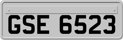 GSE6523