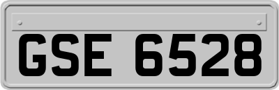 GSE6528