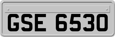 GSE6530