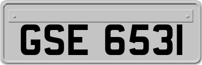 GSE6531
