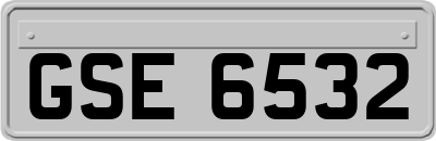 GSE6532