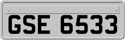 GSE6533