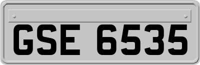 GSE6535