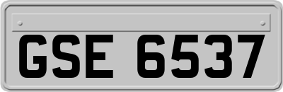 GSE6537