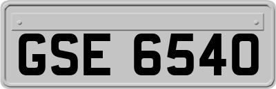 GSE6540