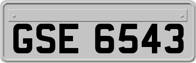 GSE6543