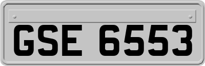 GSE6553
