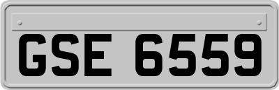 GSE6559