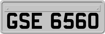 GSE6560