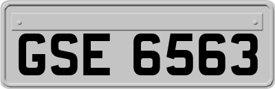 GSE6563
