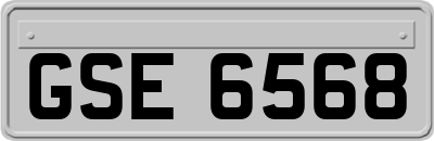 GSE6568